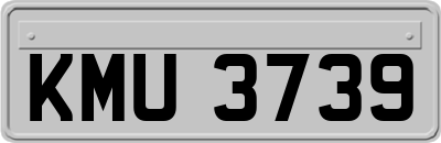 KMU3739