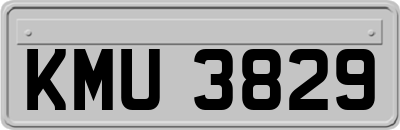 KMU3829