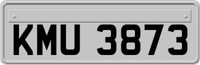 KMU3873