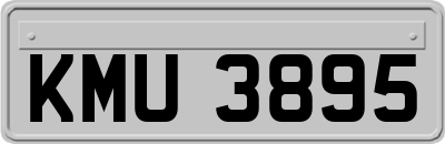 KMU3895