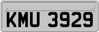 KMU3929