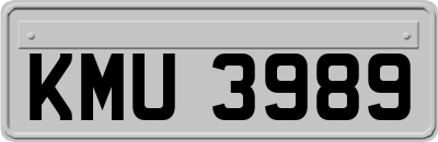 KMU3989