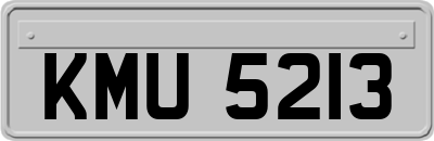 KMU5213