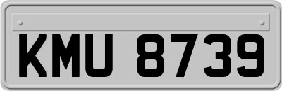 KMU8739