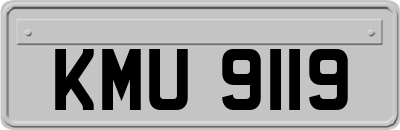 KMU9119