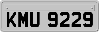 KMU9229