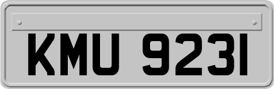 KMU9231