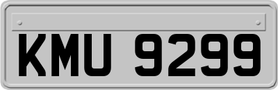 KMU9299