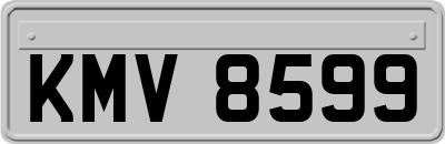 KMV8599