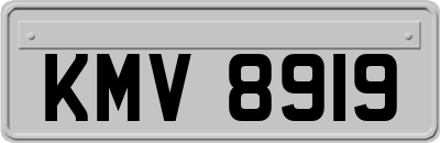 KMV8919