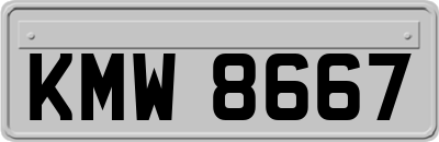 KMW8667