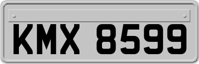 KMX8599