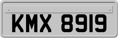 KMX8919