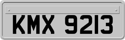 KMX9213