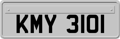 KMY3101