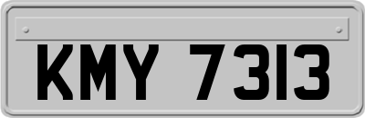 KMY7313