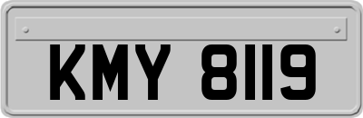 KMY8119