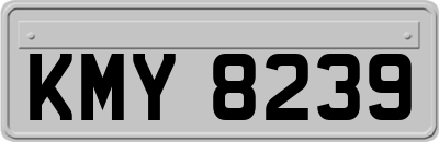 KMY8239