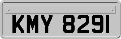 KMY8291