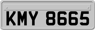 KMY8665