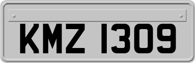 KMZ1309