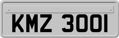 KMZ3001