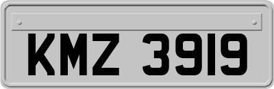 KMZ3919