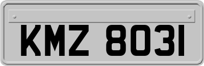 KMZ8031