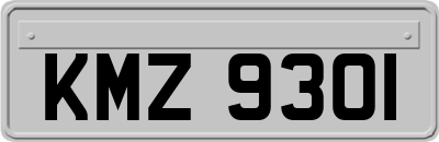 KMZ9301