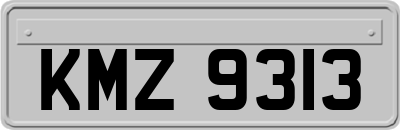 KMZ9313