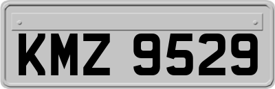 KMZ9529