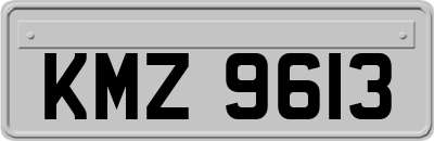 KMZ9613