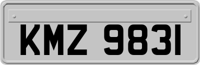 KMZ9831