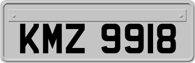 KMZ9918