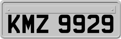 KMZ9929