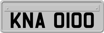 KNA0100