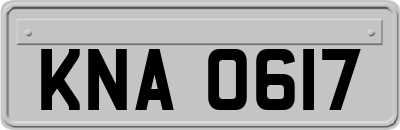 KNA0617