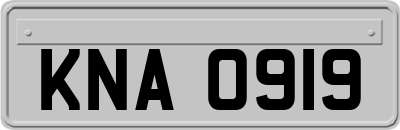 KNA0919