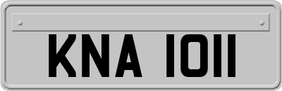 KNA1011