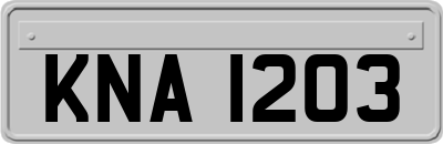 KNA1203