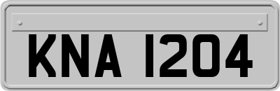 KNA1204