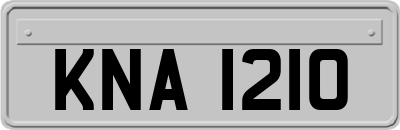 KNA1210