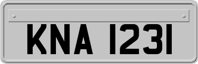 KNA1231