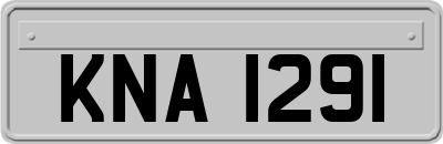 KNA1291