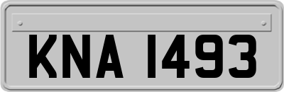 KNA1493