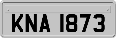 KNA1873