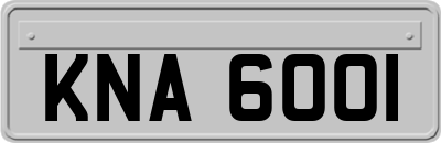 KNA6001