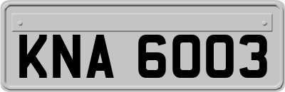 KNA6003