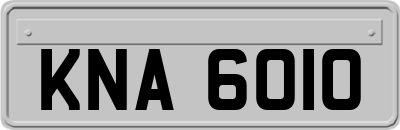 KNA6010