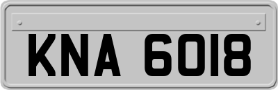 KNA6018